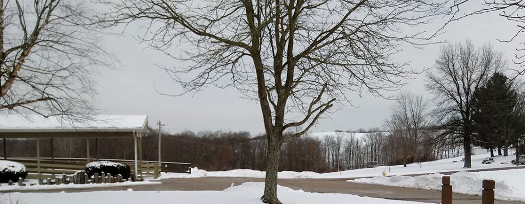 Staying safe in winter weather
